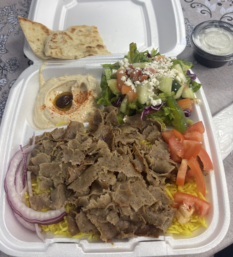 Gyro 101 Phoenix photo 4