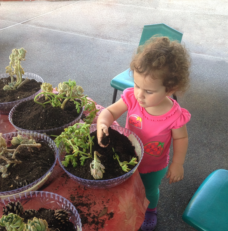 Milpitas Child Care and Learning Center (MCCLC) photo 2