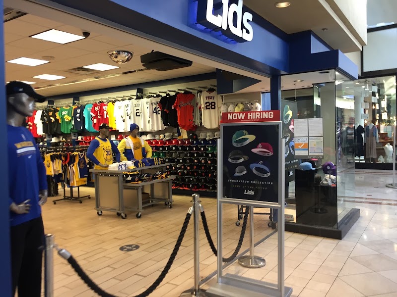 Lids photo 5