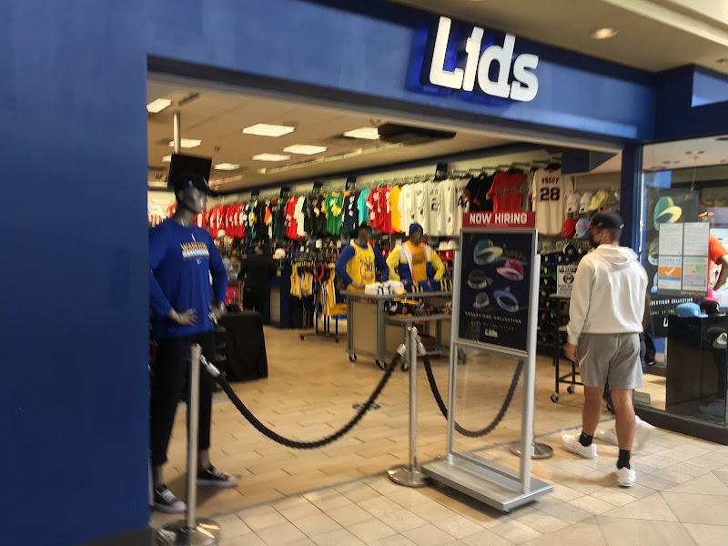 Lids photo 3