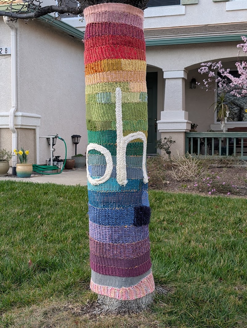 Photo of Yarnbombed public art: Oh, the Tree with the Rainbow Sweater
