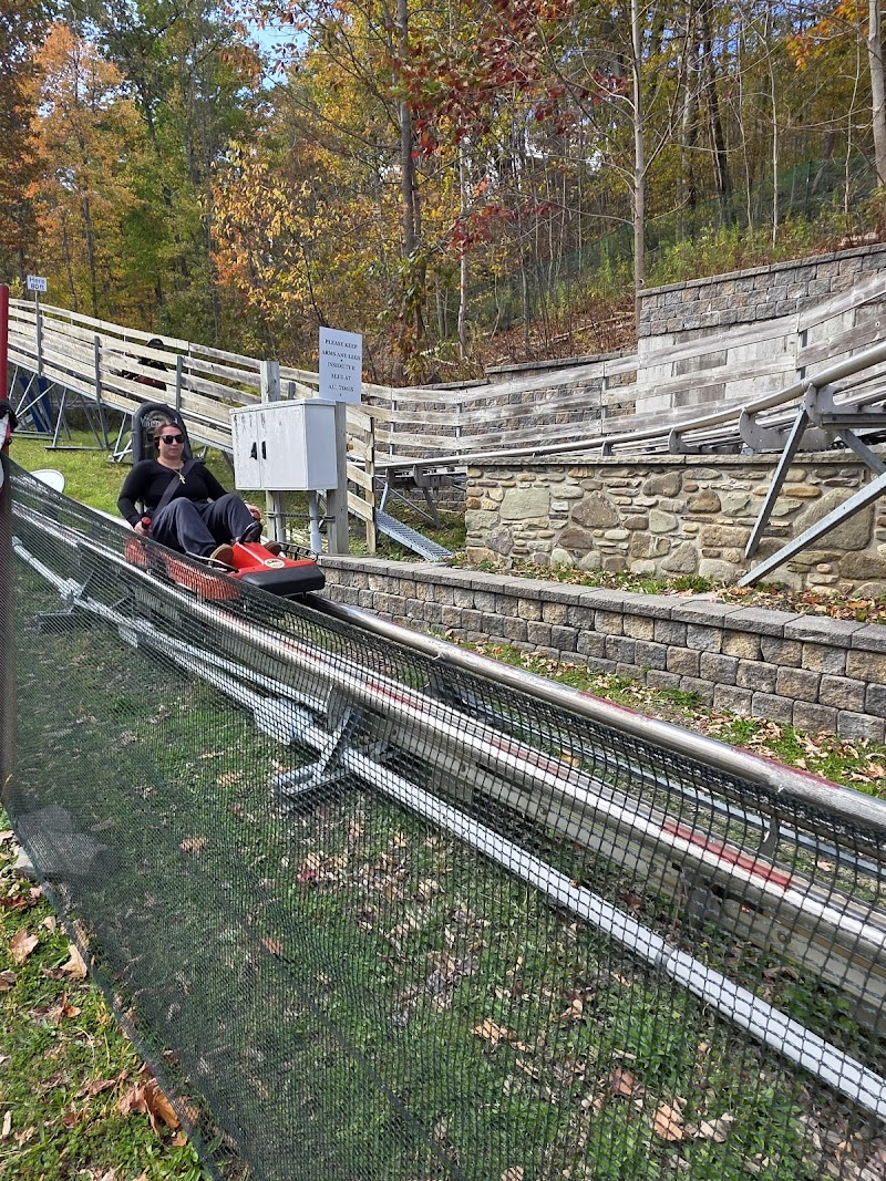 Sky High Mountain Coaster photo 4