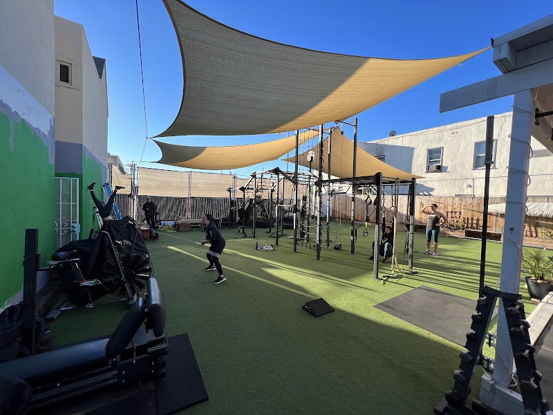 THE FITNESS FARM photo 4