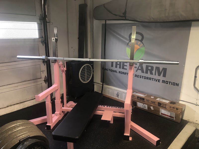 THE FITNESS FARM photo 5