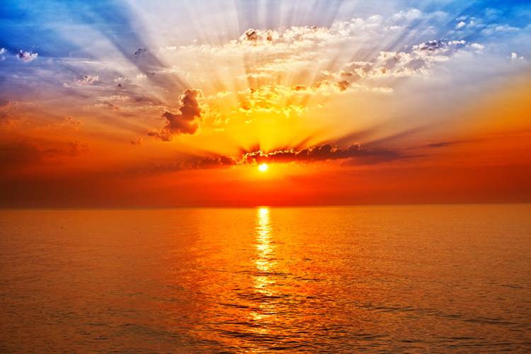 Photo of Horizon Therapy Center Inc.