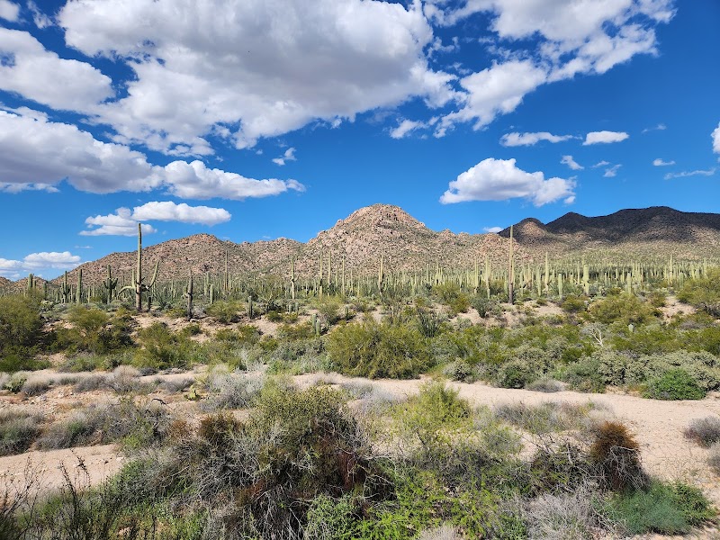 Reisen Arizona Day Tours, LLC photo 4