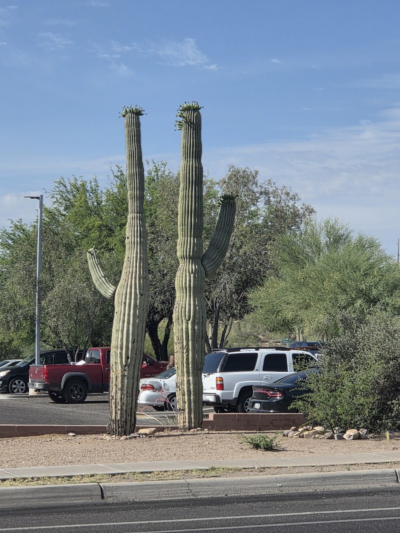 Reisen Arizona Day Tours, LLC photo 2