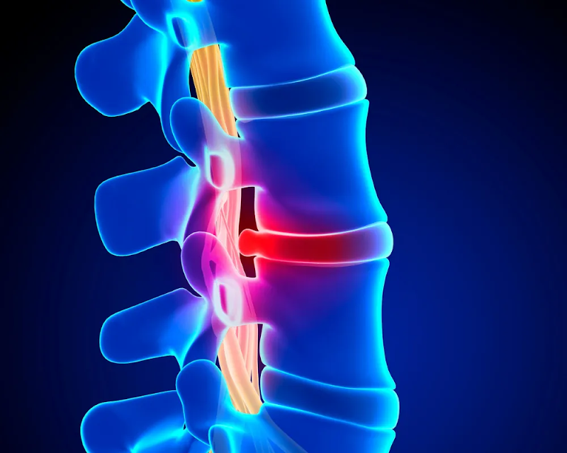Photo of Hunt Holistic Chiropractic