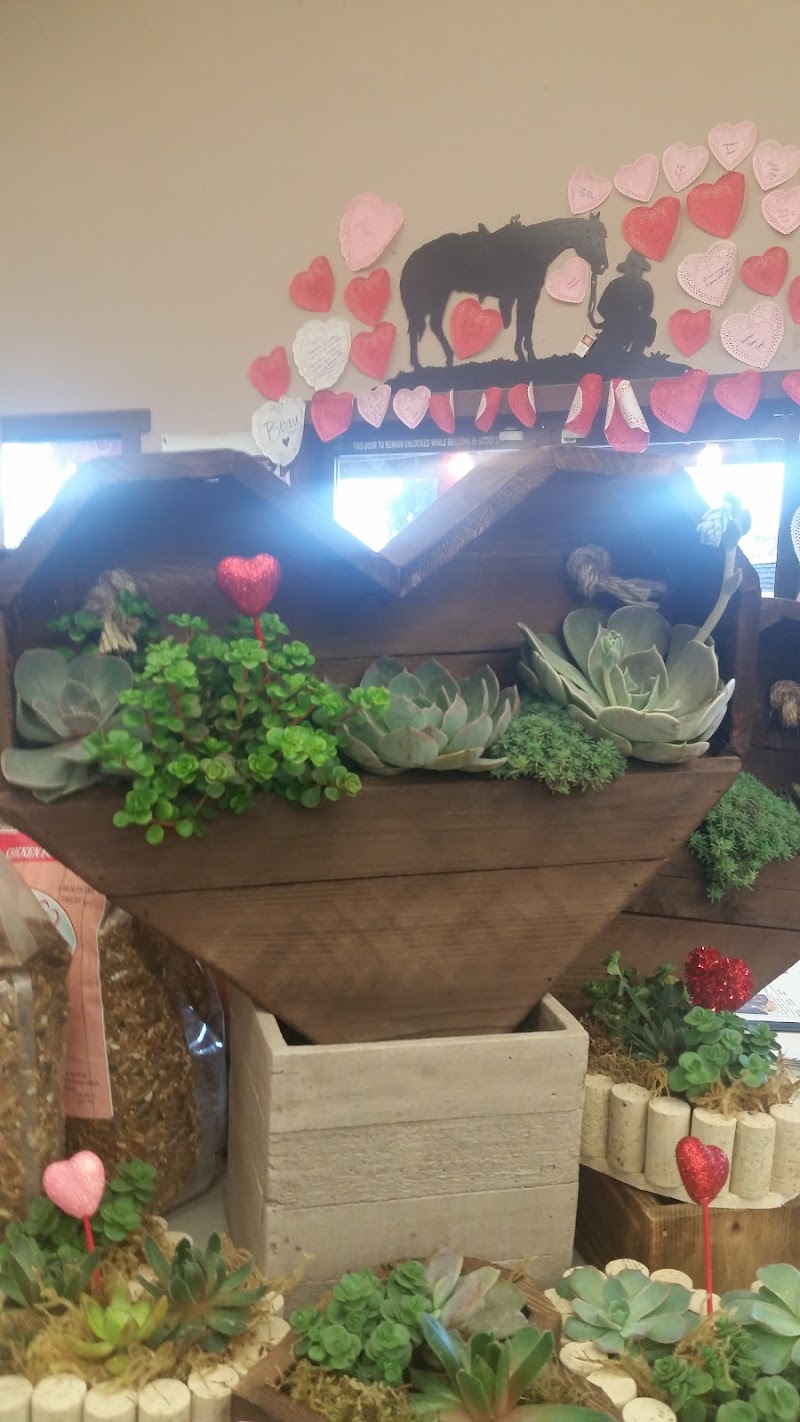 Western Ranch & Pet Supply photo 4