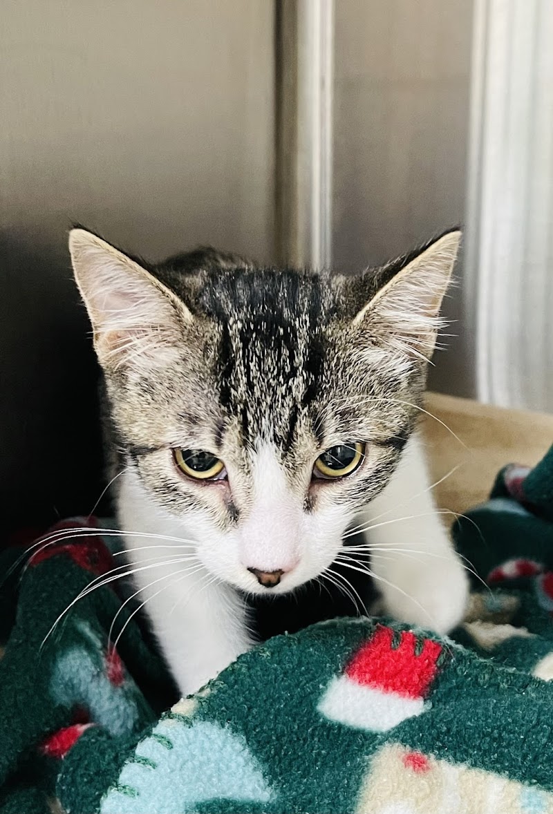 Serenity Veterinary Hospital photo 5