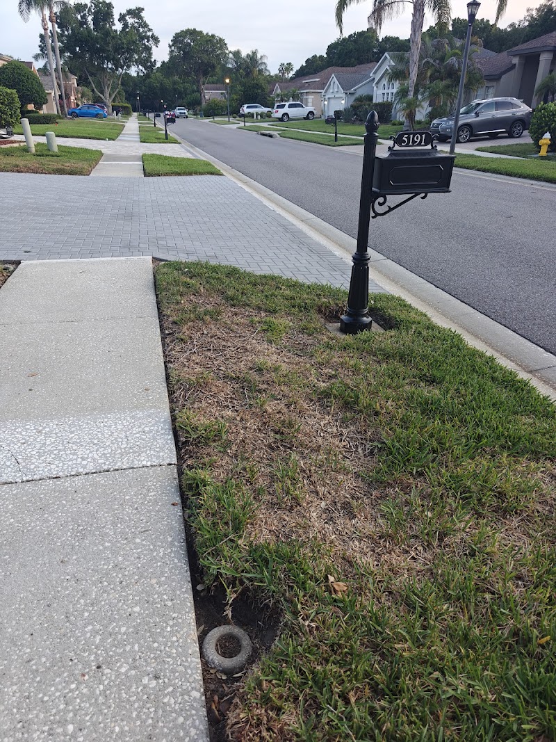 Massey Services GreenUP Lawn Care Service photo 5