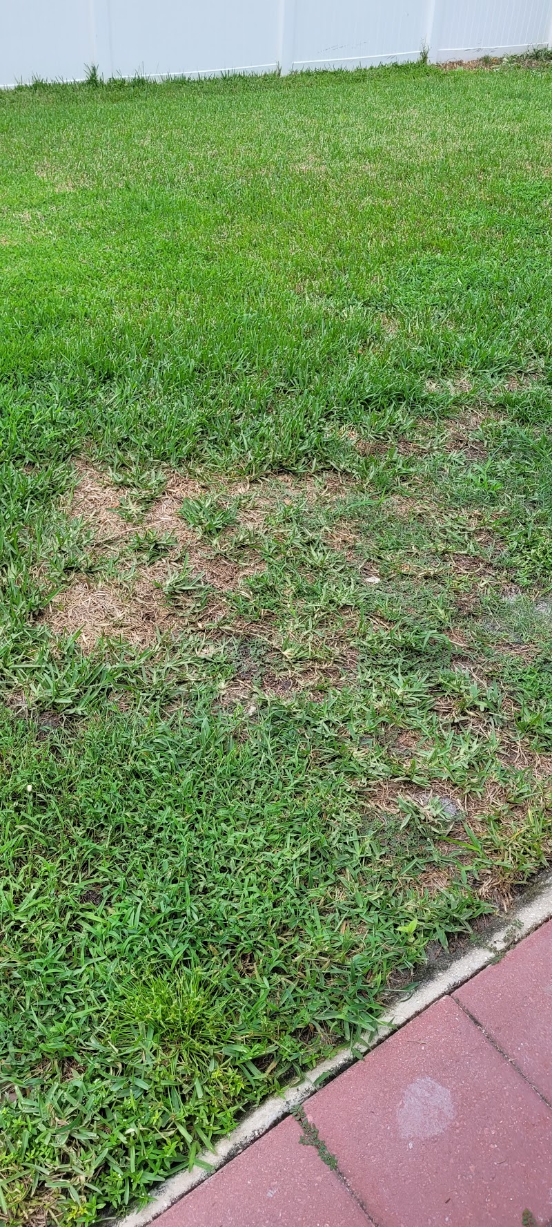 Massey Services GreenUP Lawn Care Service photo 3