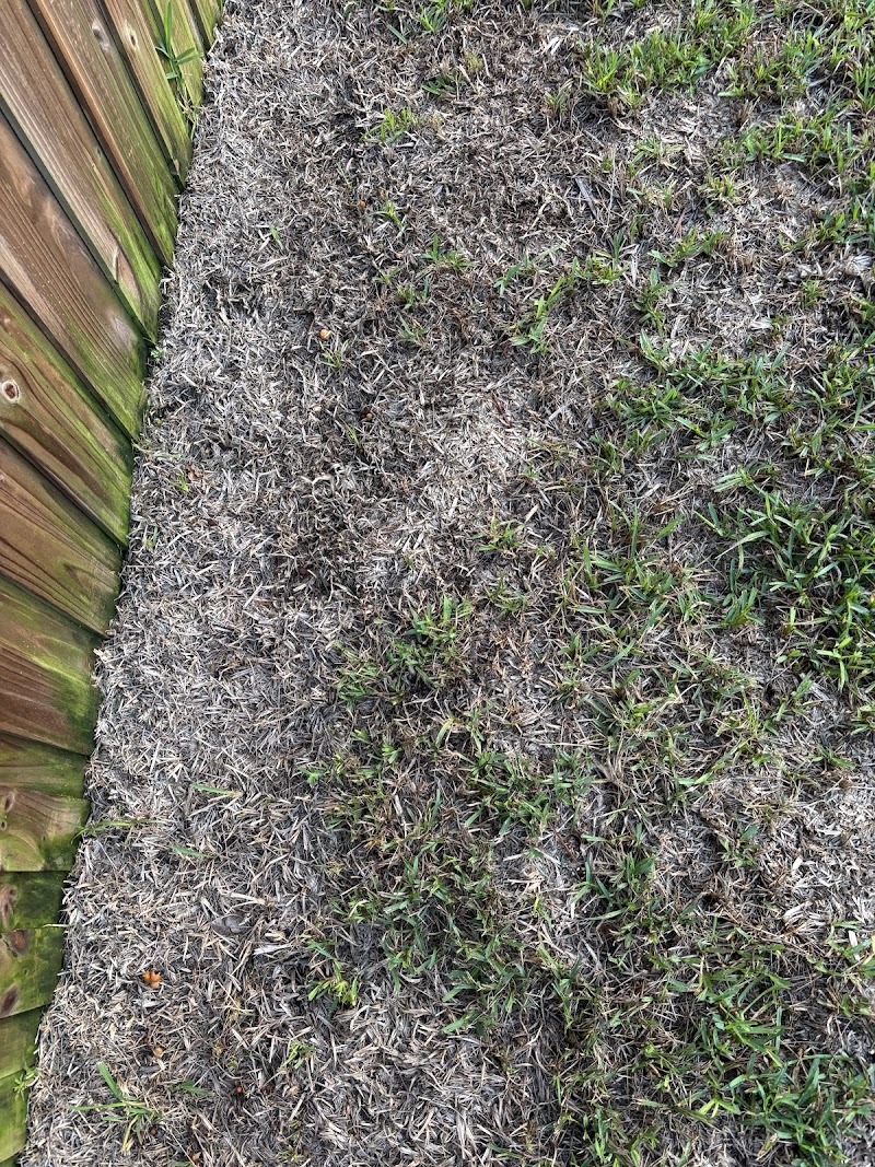 Massey Services GreenUP Lawn Care Service photo 2