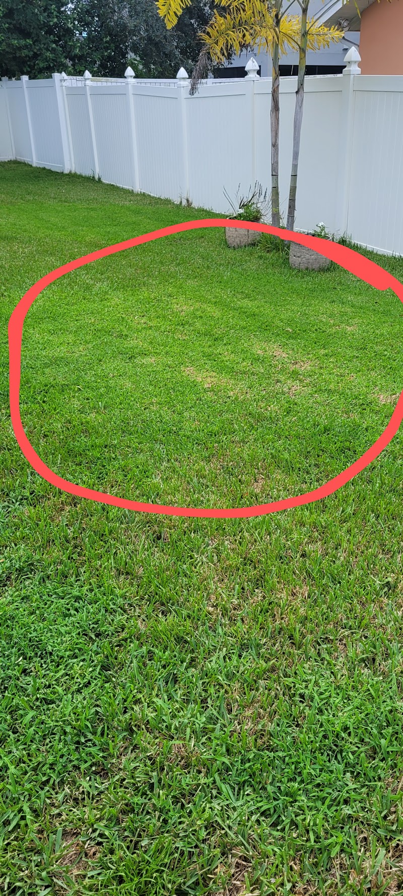 Massey Services GreenUP Lawn Care Service photo 4