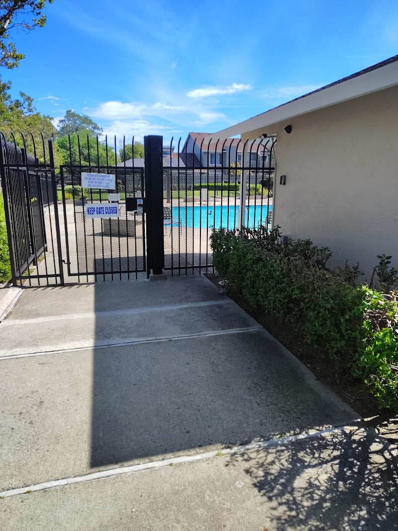 Swimming pool photo 3