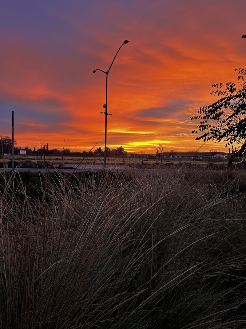 Farmland Sunrise photo 3