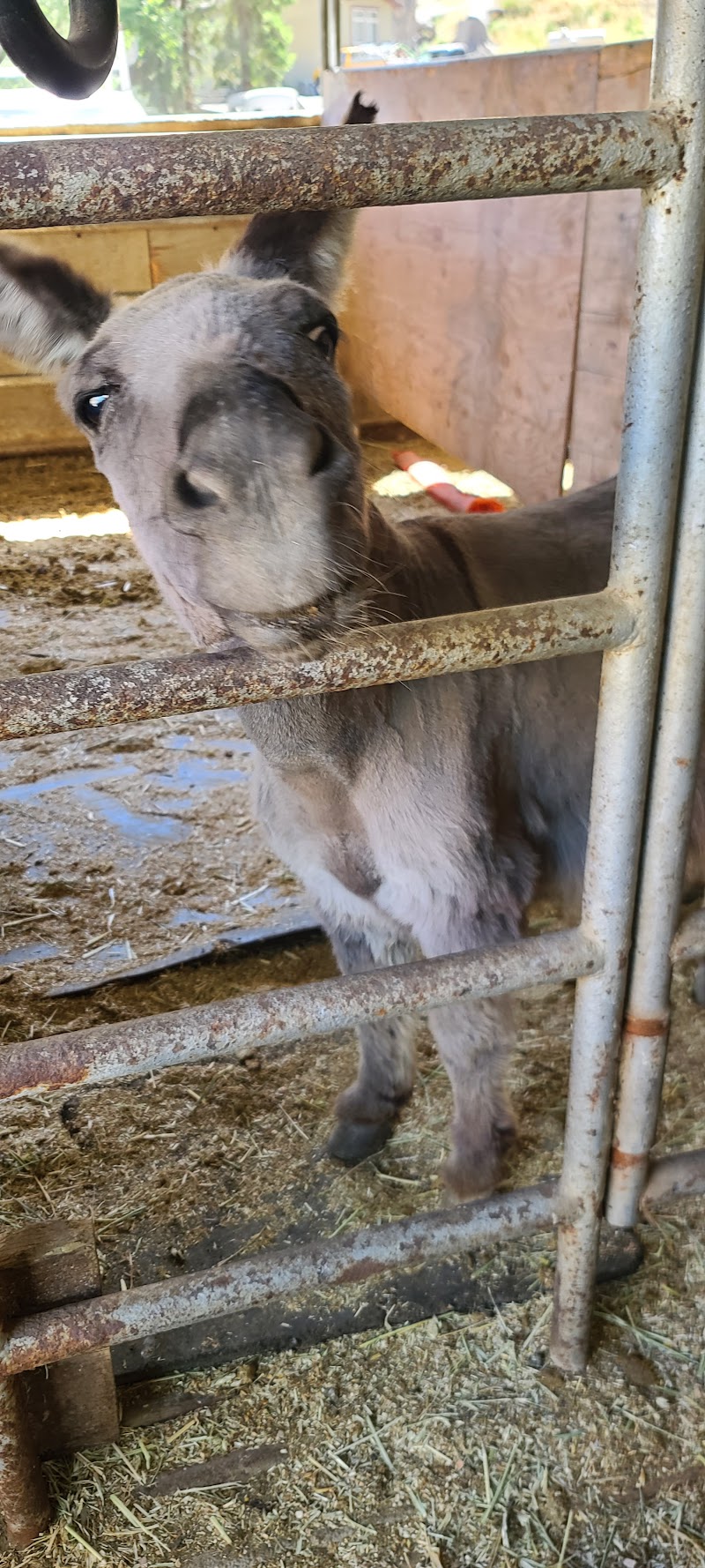 Photo of Rancho El Afortunado