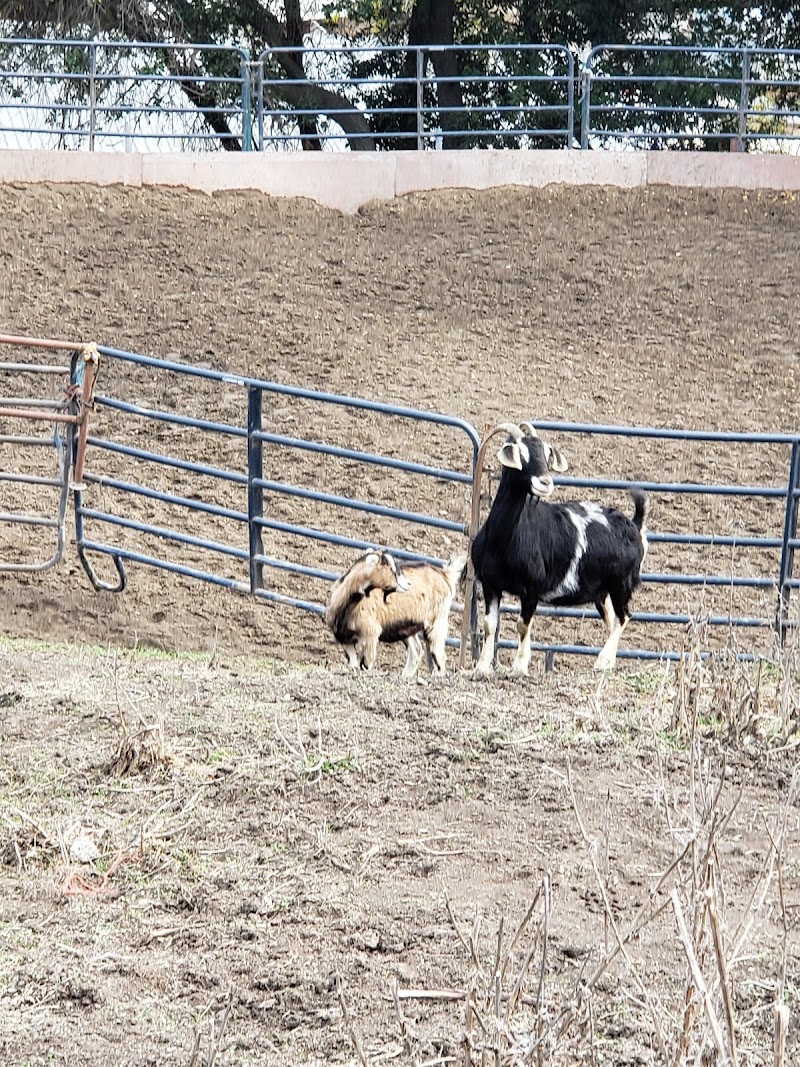 Rancho El Afortunado photo 3