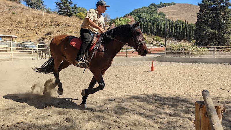 Rancho El Afortunado photo 2
