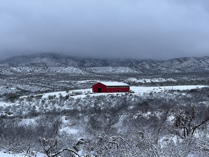 Campo Bonito Farm photo 2