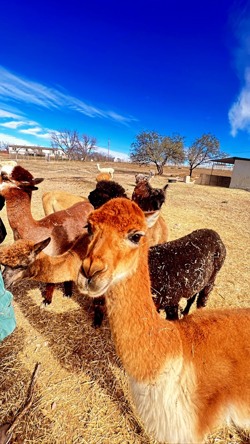 Cienega Farms photo 2