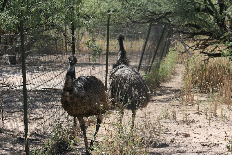 Cienega Farms photo 3