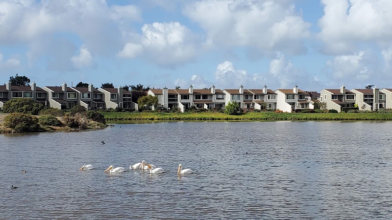 Foster City photo 3