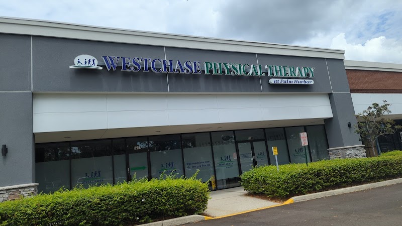 PT Solutions of Tampa Road photo 2
