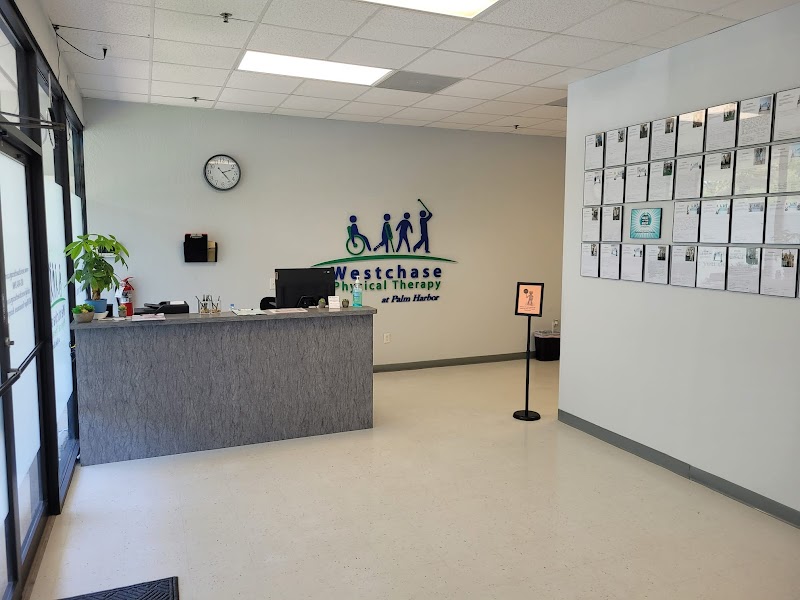 PT Solutions of Tampa Road photo 3