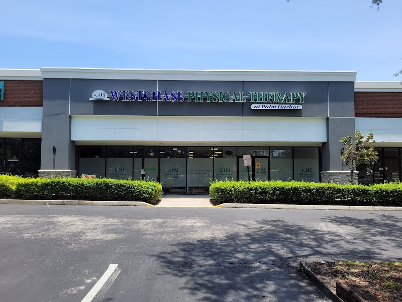 PT Solutions of Tampa Road photo 5
