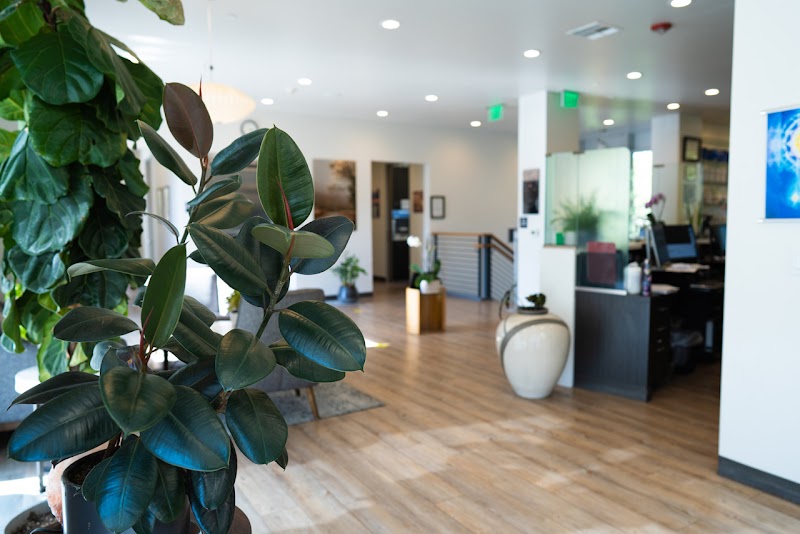 Marin Dental Wellness - Bay Area Holistic & Biological Dentistry photo 4