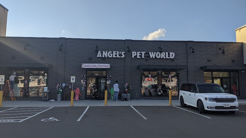 Photo of Angel's Pet World