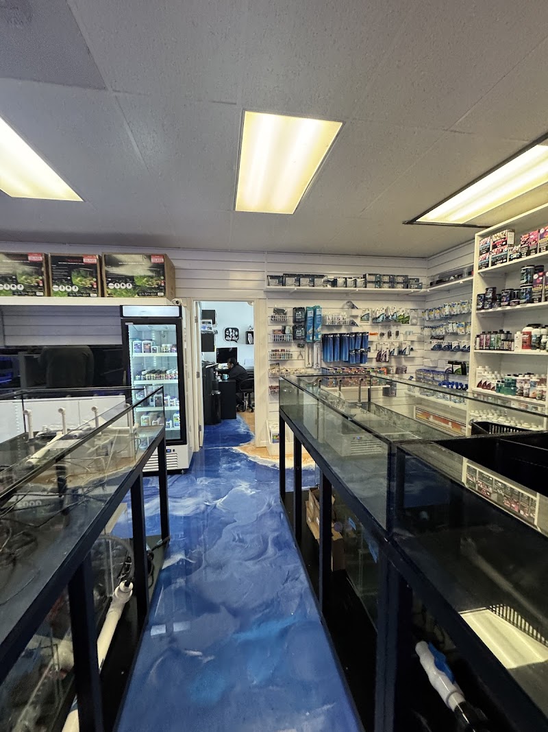 Fishy Business photo 5