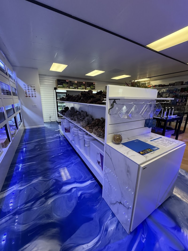 Fishy Business photo 2
