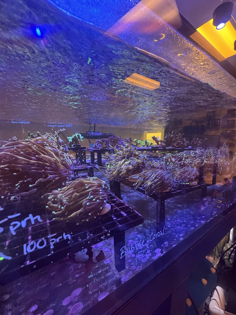 Fishy Business photo 4
