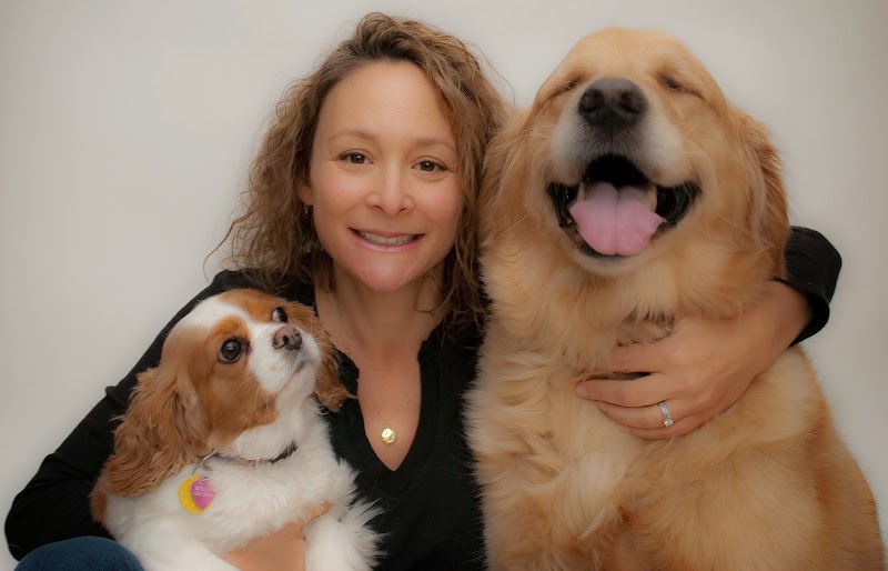 Photo of Happy Tails Pet Sitting