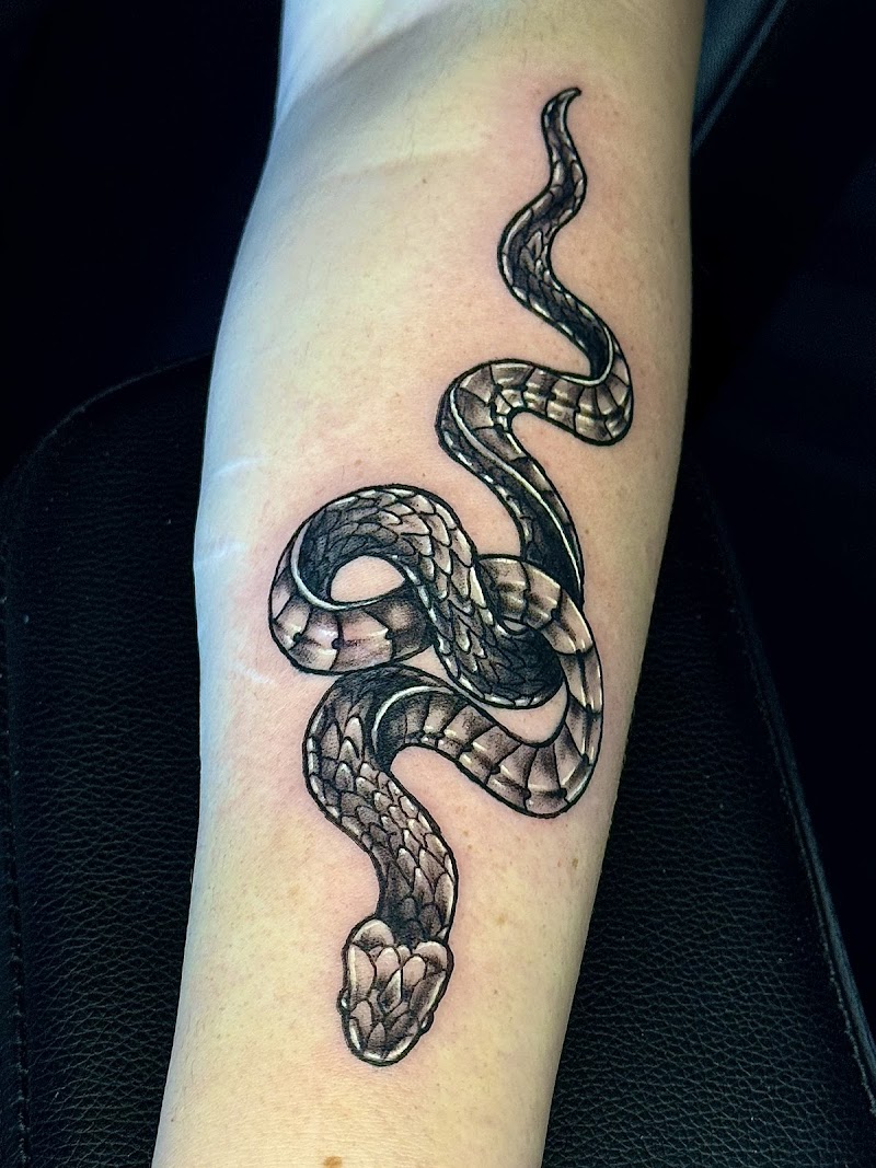 Raven’s Nest Tattoo and Galleries photo 3
