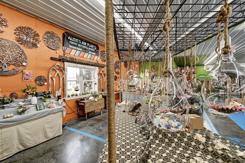 Walnut Creek Marketplace photo 4