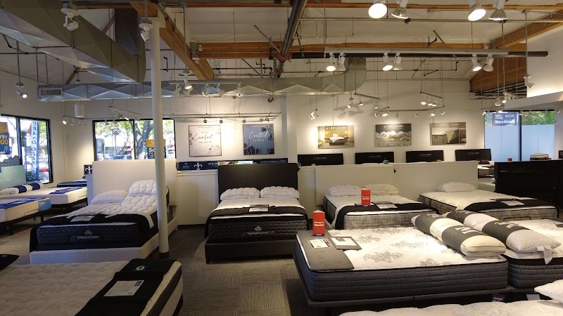 Mancini's Sleepworld Napa photo 2