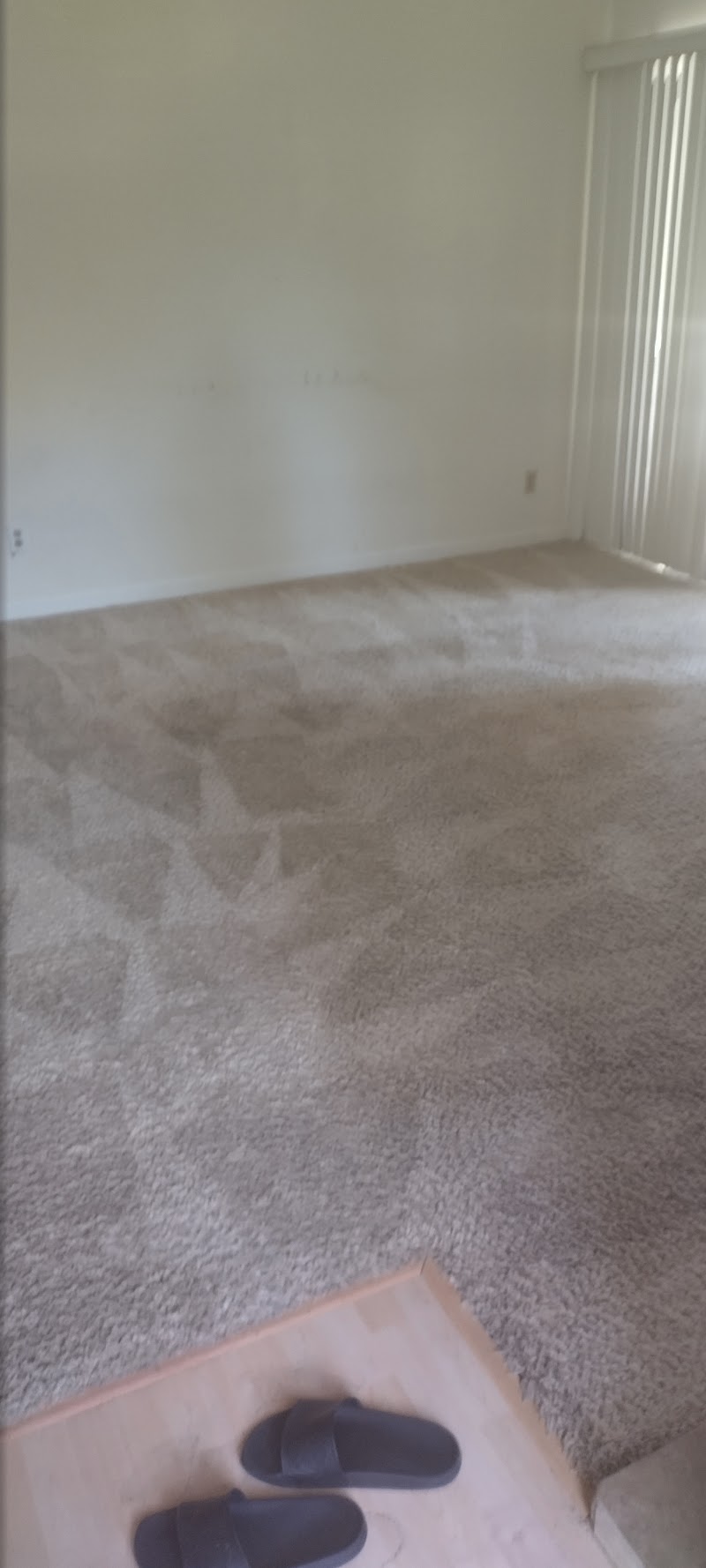 San Ramon Carpet Cleaning photo 3