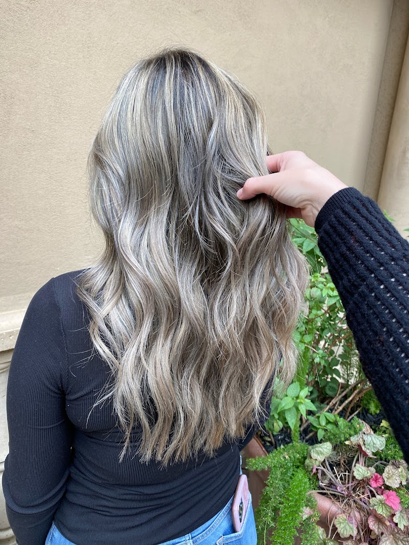 Mane + Skin photo 3