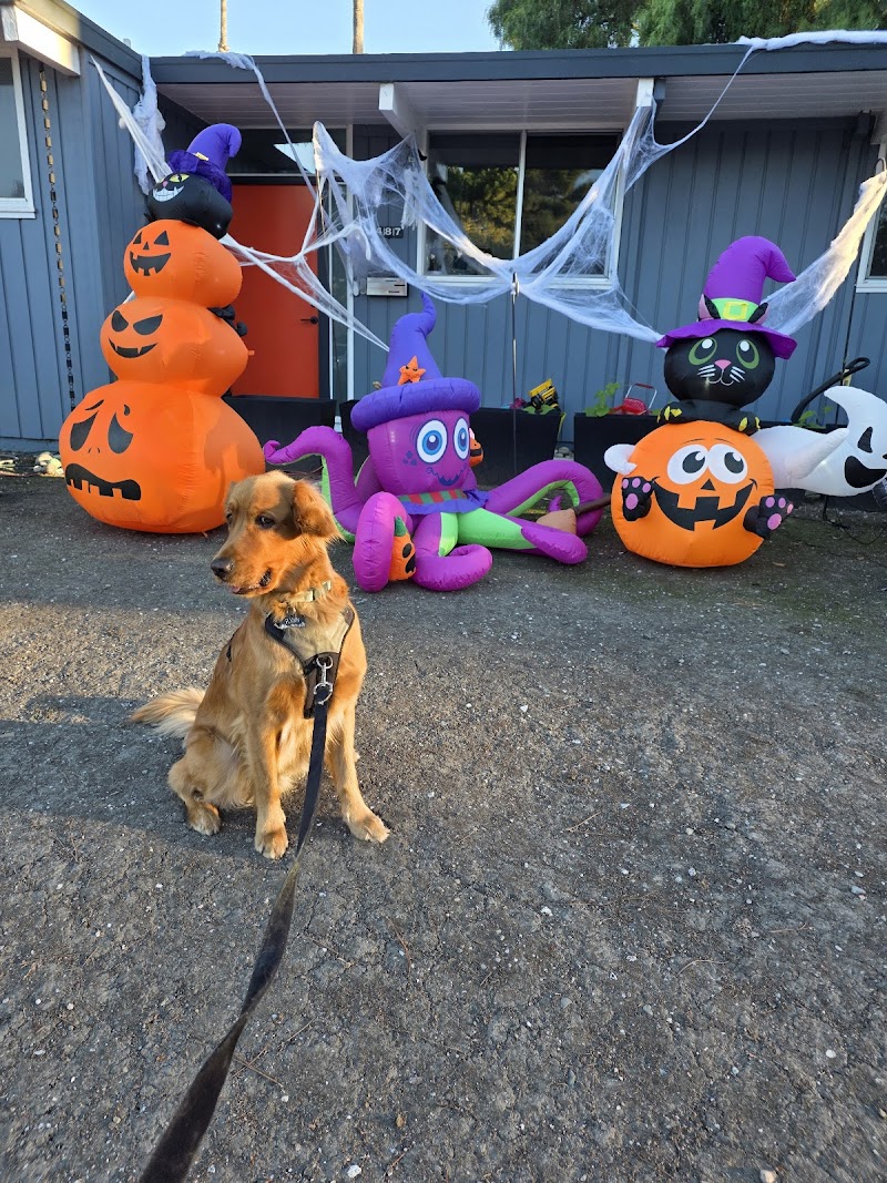 Paws on Vacation photo 3