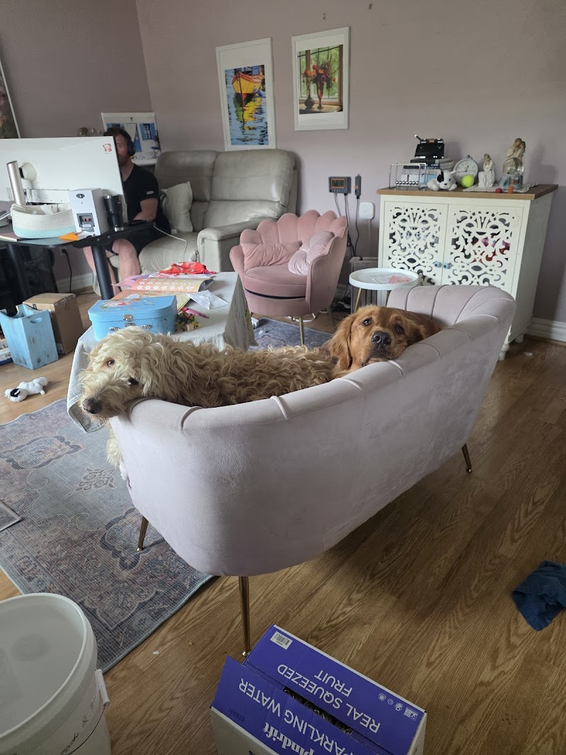 Paws on Vacation photo 2