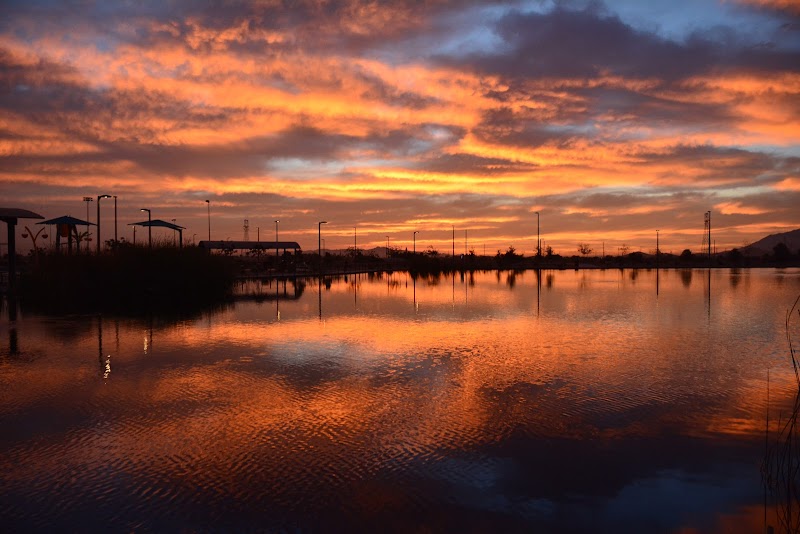 Festival Fields Pond – City of Avondale photo 2