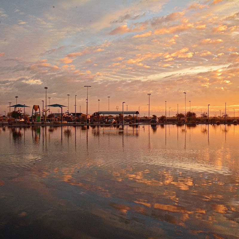 Festival Fields Pond – City of Avondale photo 3