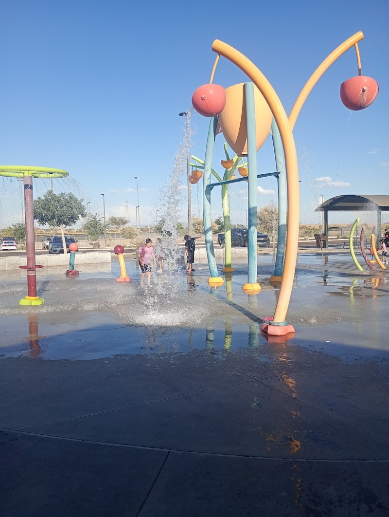 Festival Fields Pond – City of Avondale photo 4