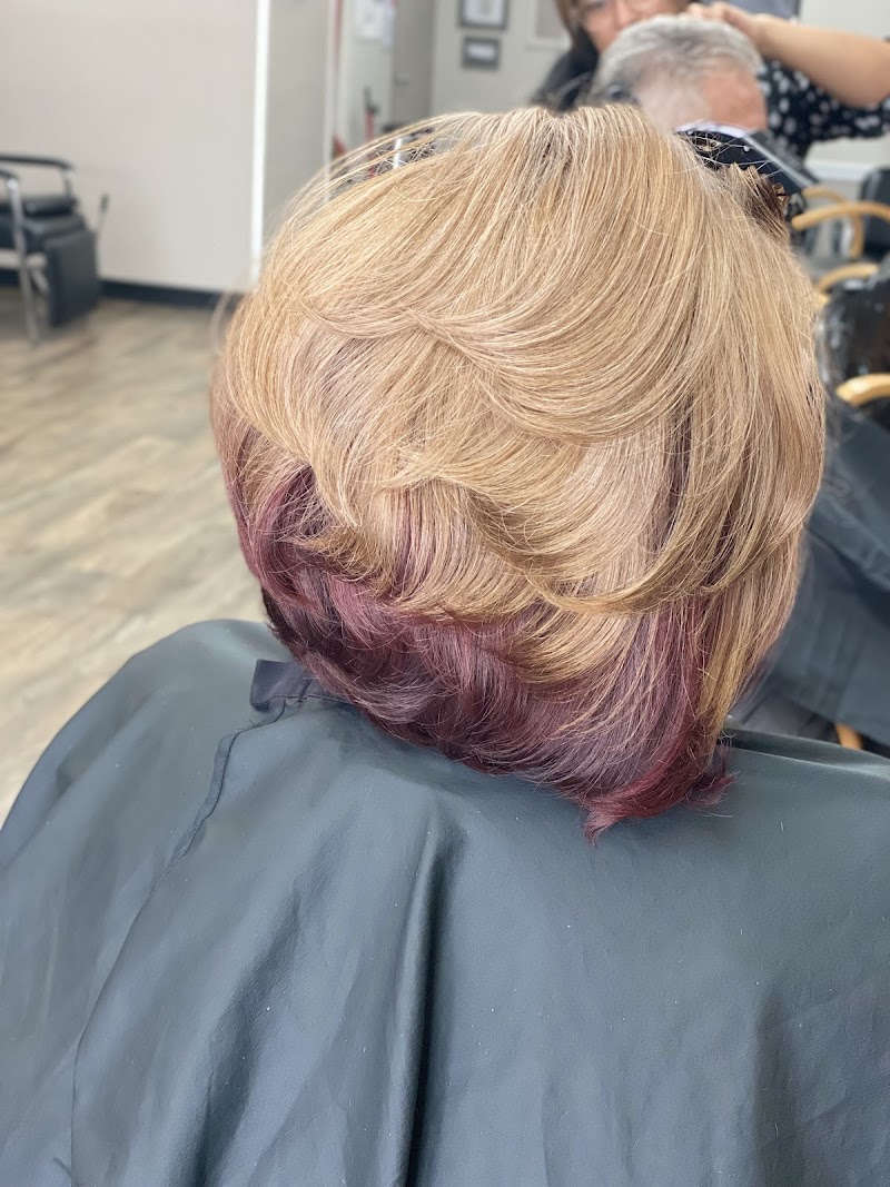 FS Cut & Color (Palm Harbor, FL) photo 2