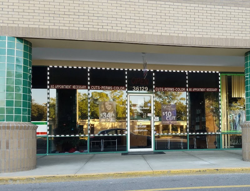 FS Cut & Color (Palm Harbor, FL) photo 5