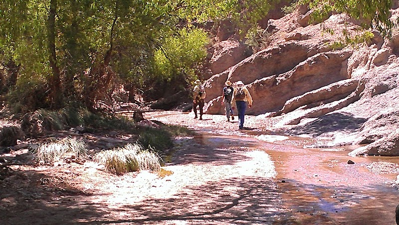 Photo of Ciénega Creek