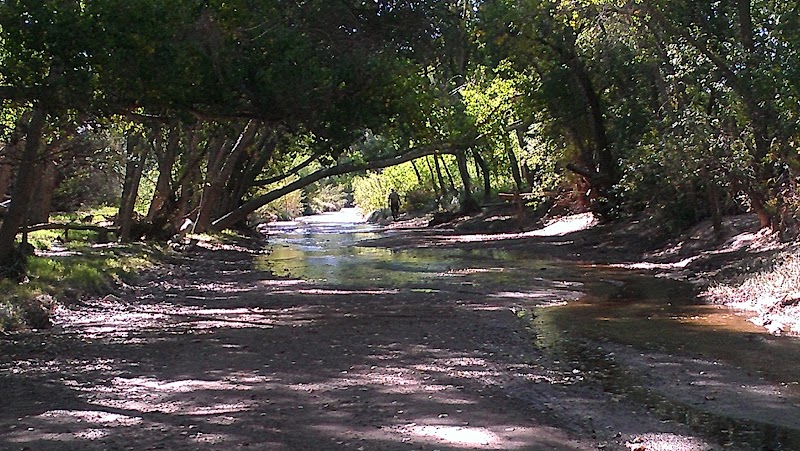Ciénega Creek photo 2